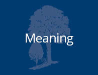 Meaning